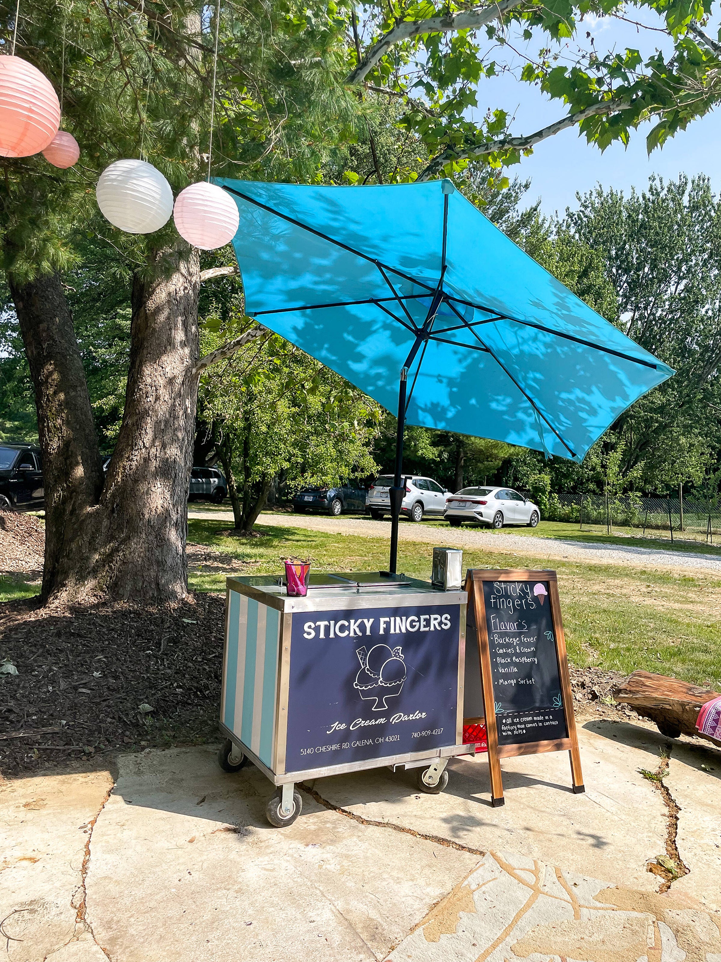 Your Local Ice Cream Shop | Sticky Fingers Ice Cream, LLC